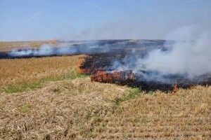 На Волині попеклася вогнем жінка, яка підпалила стерню й намагалася сама її загасити