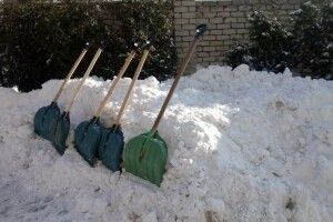 Взялися дружно за лопати: міський голова очолив громадську толоку з розчищення снігу (Фото. Відео)