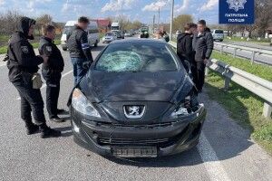 Дама просто на «зебрі» збила двох дітей