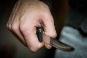 За різанину житель Рівненщини буде під домашнім арештом
