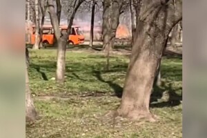 У Рівному біля Льонокомбінату палає трава (Відео)