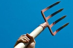 На Рівненщині чоловік жорстоко розправився з безпритульним собакою