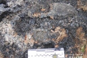 Двоє односельців побили та пограбували пенсіонера на Рівненщині