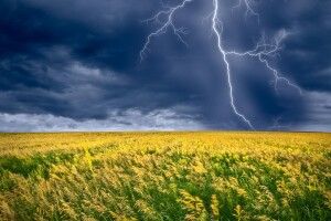 В Україні на завтра – штормове попередження. Волині дощів дістанеться менше
