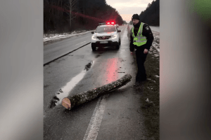 На трасі Луцьк-Рівне патрульні усунули дерев’яну перешкоду (Відео)