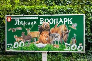 Дощ з мокрим снігом не дали провести квест у Луцькому зоопарку