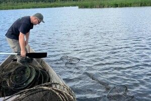 З озер на Волині екоінспектори витягли 35 браконьєрських знарядь лову