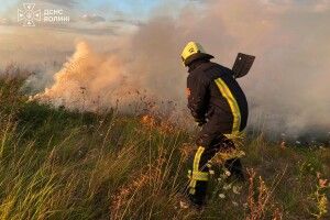 У трьох селах на Волині вогонь знищив понад 2 гектари землі