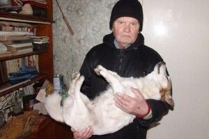Бімка помер на руках у господаря: за вбивство собаки молодик проведе 5 років за ґратами