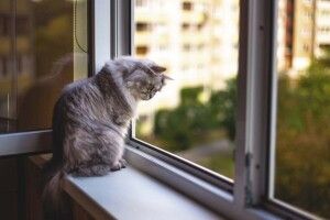 Якою буде погода на Волині 