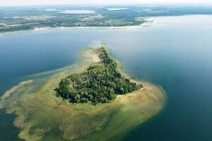 Аж 200 гнізд баклана: на острові озера Світязь порахували птахів (Відео)