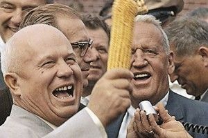 Микита Хрущов неодмінно б розплакався: цьогоріч Україна збере рекордний врожай кукурудзи