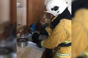 Готував сніданок та заснув: у Рівному чоловік ледь не спровокував пожежу