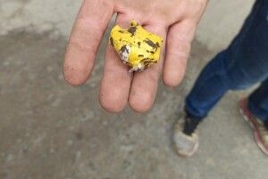 У селі Княгининок Луцької громади – понад 100 випадків розповсюдження наркотиків за кілька днів