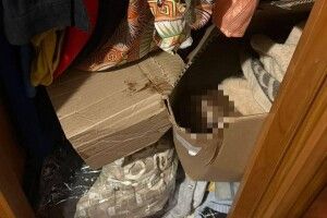 Тіло сина сховала у коробку в шафі: на Київщині розкрили жахливу смерть 2-річного хлопчика