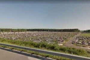 На Волині 10 га єдиного в Україні приватного лісу виріжуть, щоб... розширити цвинтар