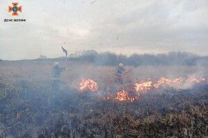 На Волині спалахнула пожежа на території природного парку (Фото)