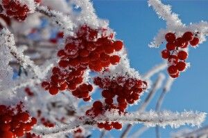 Погода на суботу, 22 січня: на Волині міцнішатимуть морози