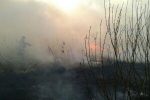 Лісівники Волині цієї весни понад 70 разів долучалися до гасіння пожеж в екосистемах
