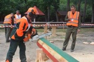 Змагалися вальники лісу всіх лісгоспів Волині