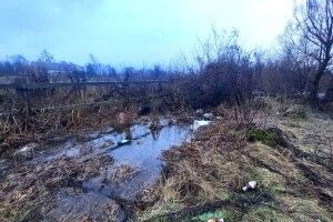Зниклого безвісти рівнянина знайшли мертвим у чагарниках (Фото)