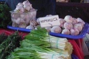 Волинян закликали берегти червонокнижні рослини
