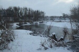 На водоймах Волині спіймали порушників правил рибальства