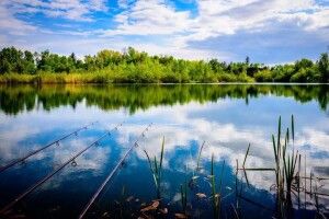 На Шацьких озерах вже можна ловити рибу