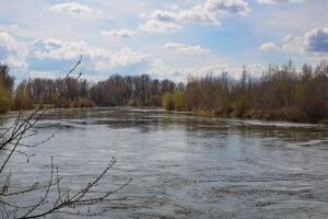 Якою буде погода на Волині в ці дні