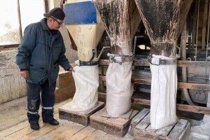 Від очищення до фасування: як на Волині виготовляють борошно у млині 