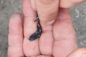 Окупанти обстріляли пункт пропуску «Гнутове»: від поранення військового ЗСУ врятував особистий жетон