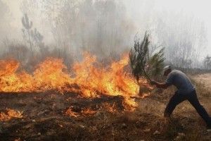 Населення продовжує нехтувати заходами безпеки (Відео)