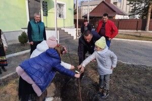 Біля Ківерцівського музею висадили «Лесину грушу» (Фото)