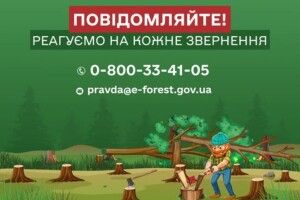Жителів Волині та Рівненщини просять повідомляти про незаконні порубки лісу та роботу нелегальних пилорам