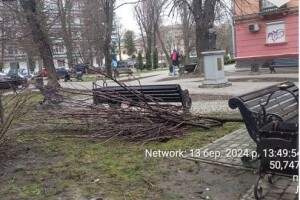 У Луцьку муніципали змусили прибрати зрізане гілля на території загального користування