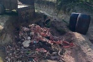 Сина старости на Львівщині затримали під час скидання решток тварин у лісі