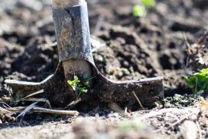 Двоє нововолинців спочатку катували знайомого,а потім... закопали його у териконі