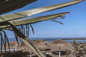 Екс-очільниця Волиньради відпочиває на Канарах
