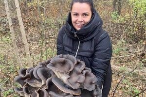 На Рівненщині мисливиця за грибами вполювала кущ глив, під який можна випити добре відро горілки (Фото)