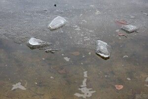 11-річна дівчинка півгодини тримала братика над водою, щоб він не втонув 