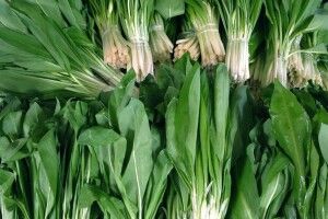 У Луцьку жінка продавала червонокнижну черемшу