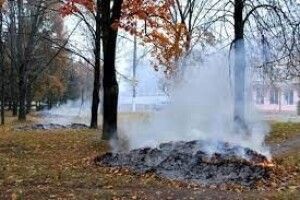 Горохівчан оштрафували за спалювання трави та сміття