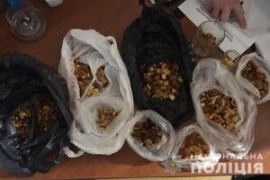 У лучанки вдома знайшли пакети з бурштином (Фото) 