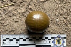 Поліція знайшла у сейфі волинянина незаконні боєприпаси