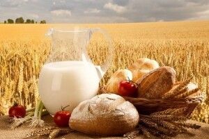 Волинські виробники стали продавати більше молока, але менше м’яса