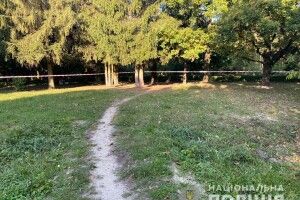 Покарали чоловіка, який зґвалтував дівчину в луцькому парку