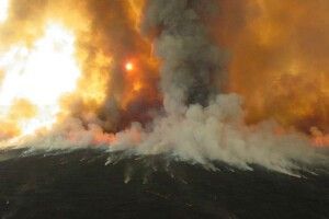 Щоб не отримати штраф від поліцейських, волиняни підпалювали і втікали