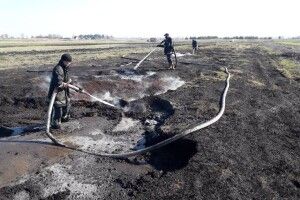 На Волині вигоріло пів тисячі гектарів сухої трави та торф’яників