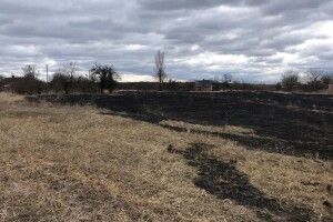 На Волині уперше цього року горіла суха трава