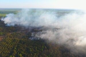На Рівненщині горіло понад 2 гектари лісу (Відео)